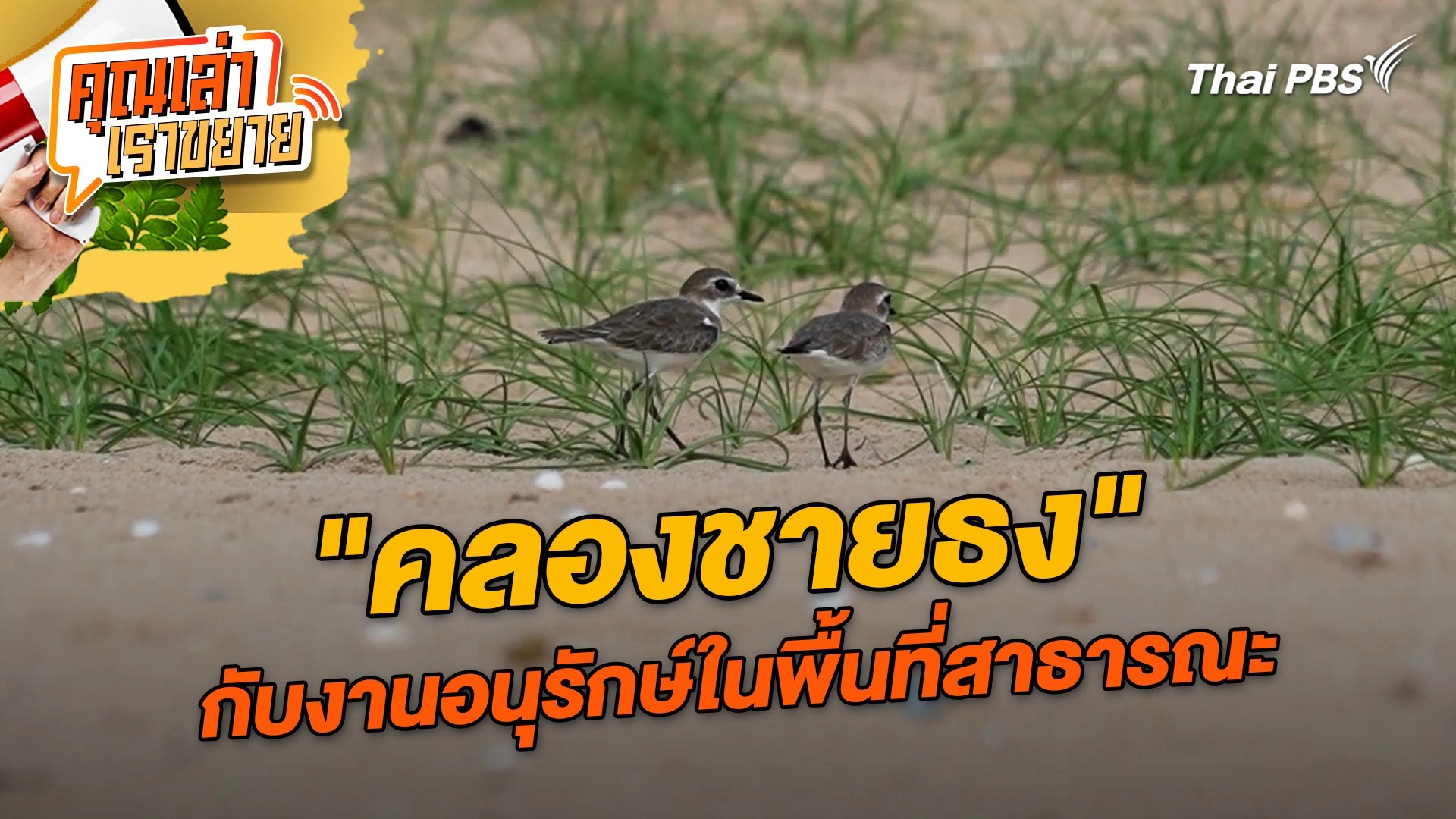 "คลองชายธง" กับงานอนุรักษ์ในพื้นที่สาธารณะ