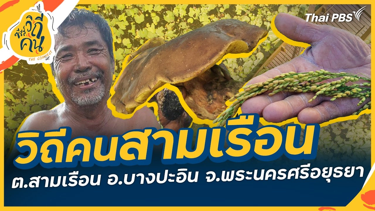 วิถีคนสามเรือน ต.สามเรือน อ.บางปะอิน จ.พระนครศรีอยุธยา