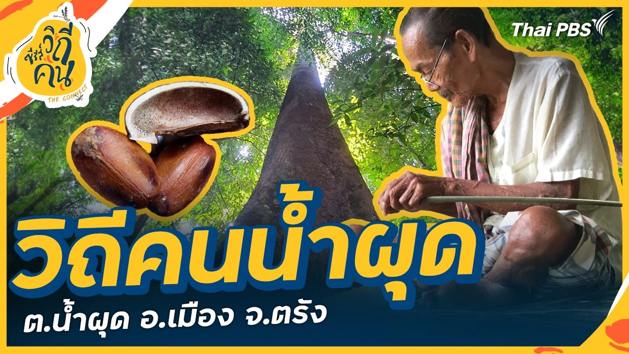 วิถีคนน้ำผุด ต.น้ำผุด อ.เมือง จ.ตรัง