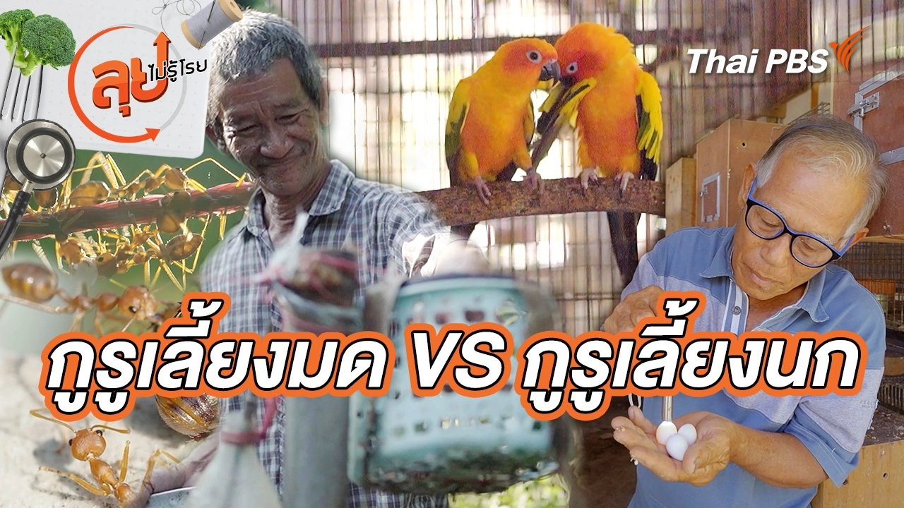 กูรูเลี้ยงมด VS กูรูเลี้ยงนก