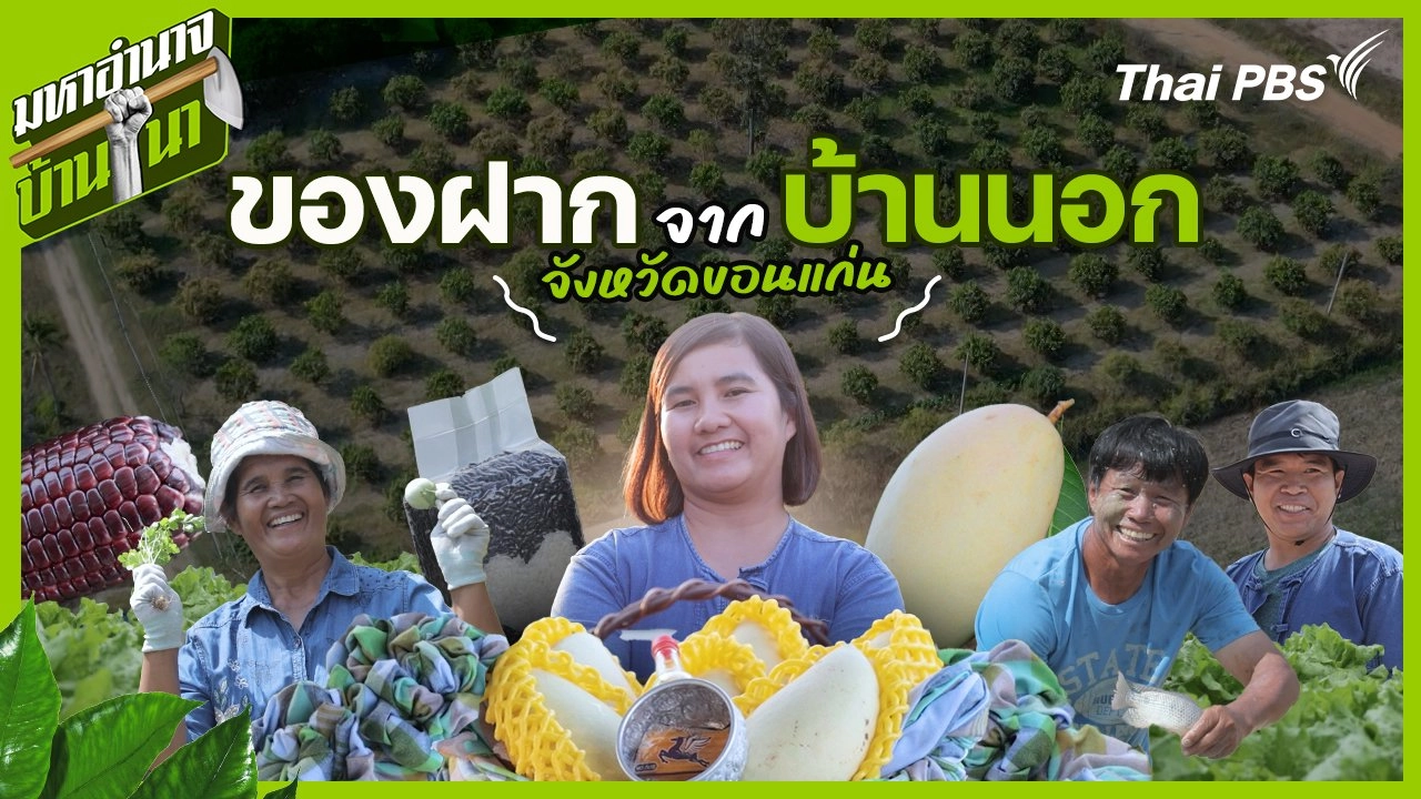 ของฝากจากบ้านนอก