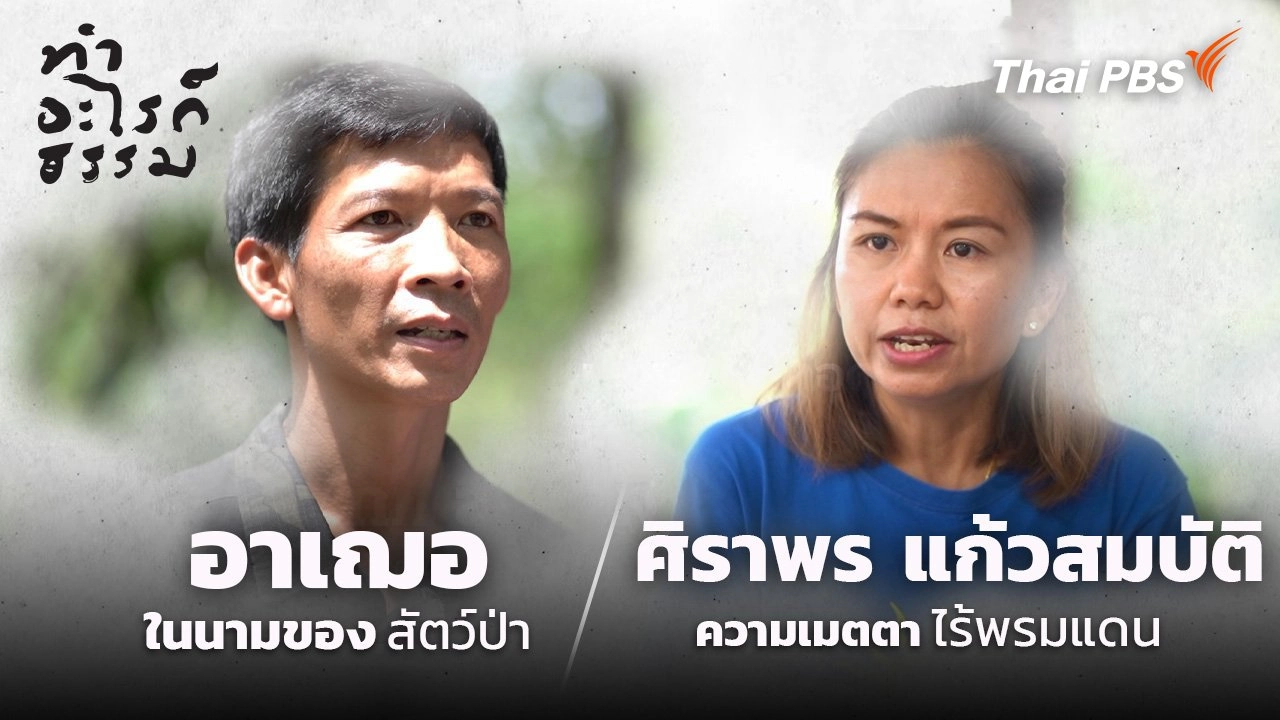 “อาเฌอ” ในนามของสัตว์ป่า และ “ศิราพร แก้วสมบัติ” ความเมตตาไร้พรมแดน