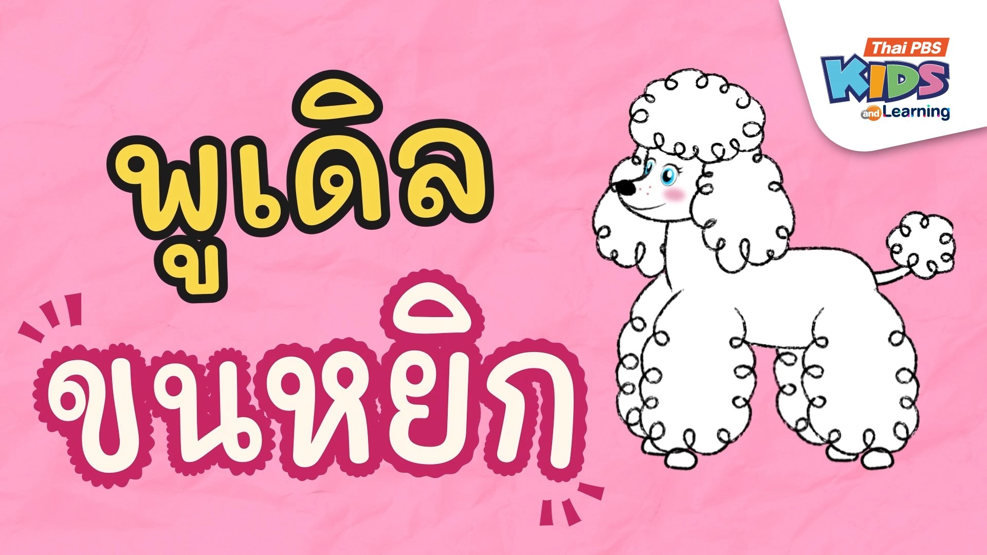 เพลง : พูเดิลขนหยิก