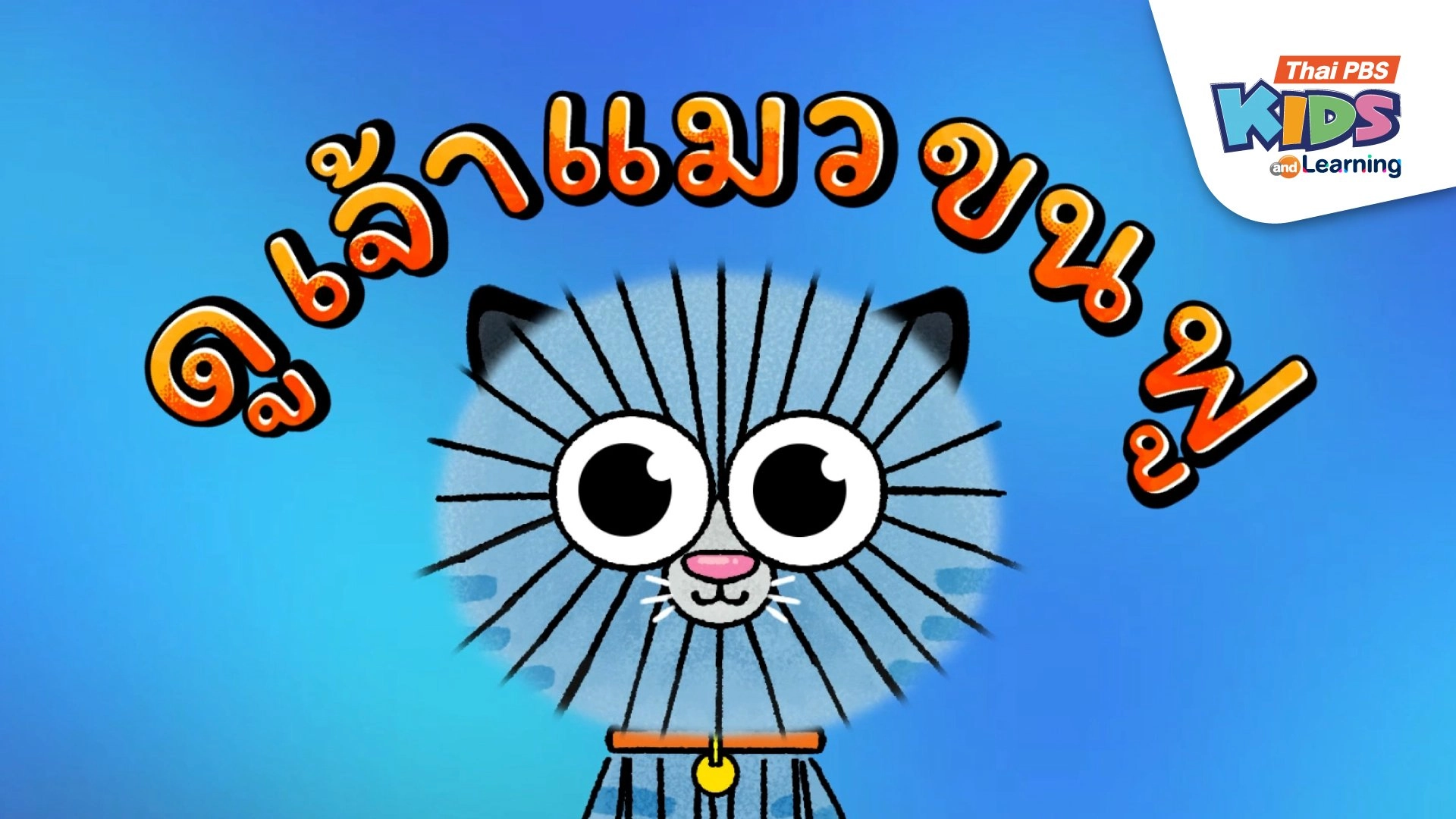 เพลง : ดูเจ้าแมวขนฟู