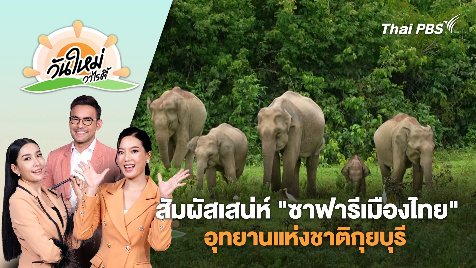 สัมผัสเสน่ห์ "ซาฟารีเมืองไทย" อุทยานแห่งชาติกุยบุรี | วันใหม่วาไรตี้ | 27 มิ.ย. 68
