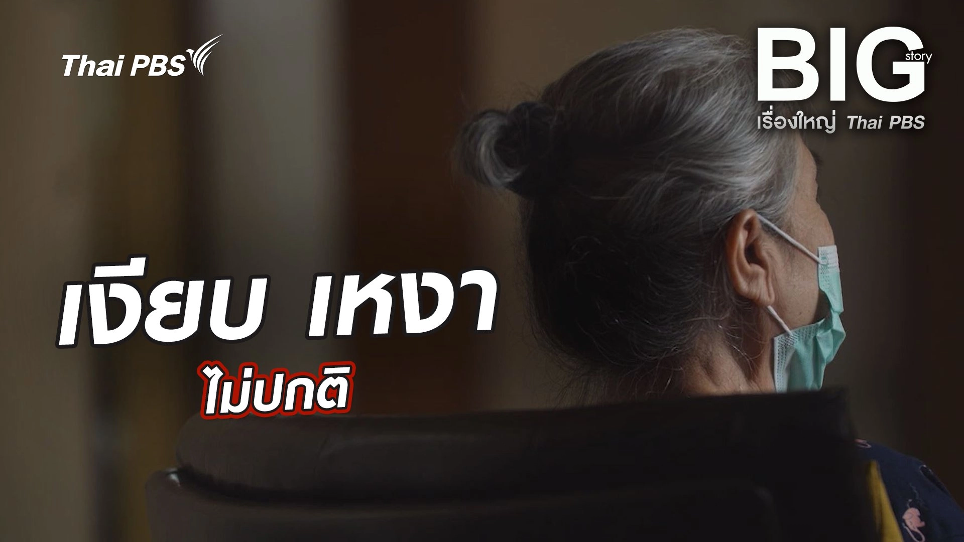 Big Story เรื่องใหญ่ Thai PBS