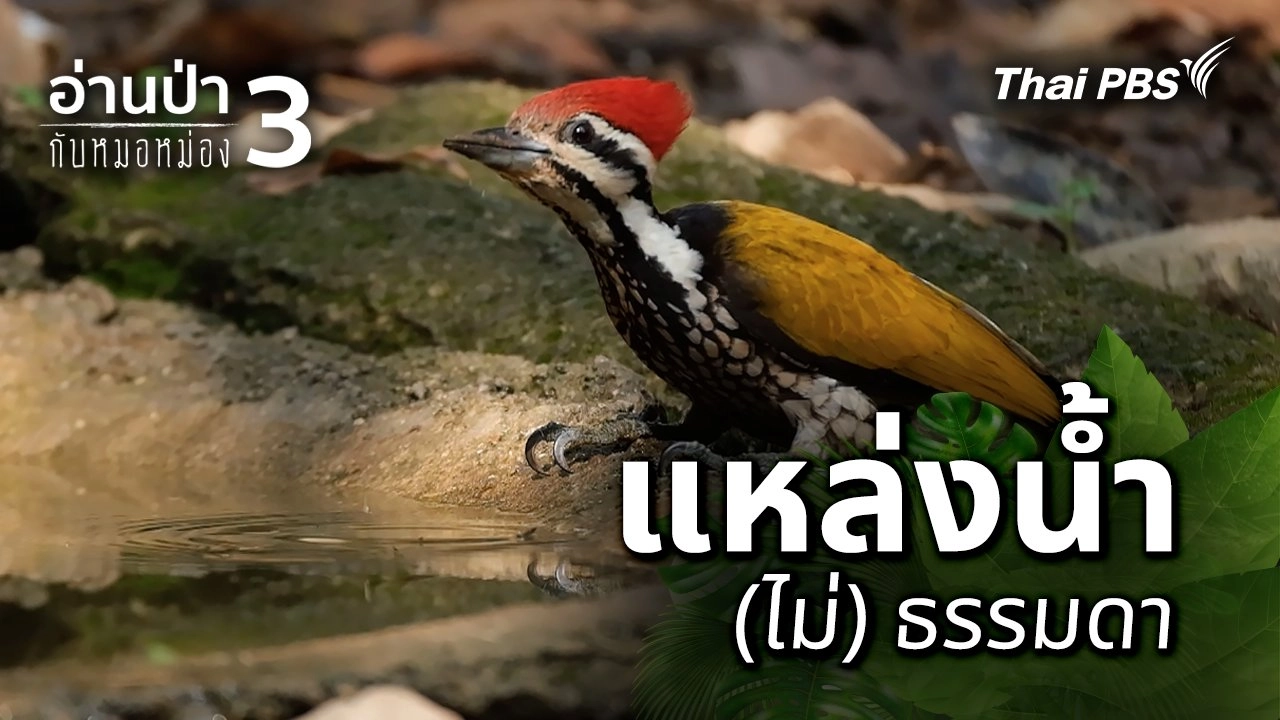 แหล่งน้ำ (ไม่) ธรรมดา