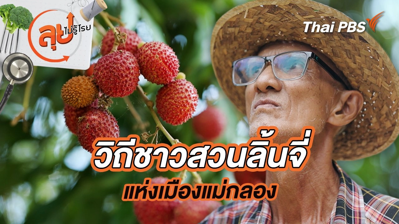 วิถีชาวสวนลิ้นจี่แห่งเมืองแม่กลอง