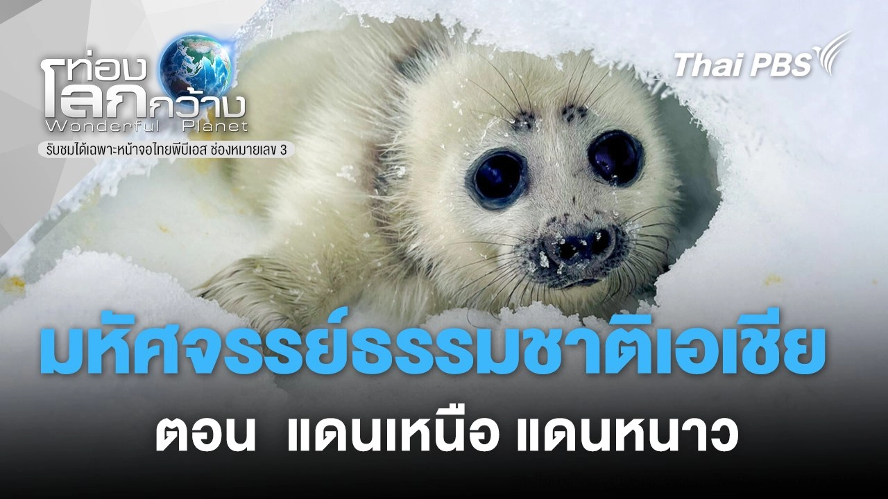 มหัศจรรย์ธรรมชาติเอเชีย ตอน  แดนเหนือ แดนหนาว