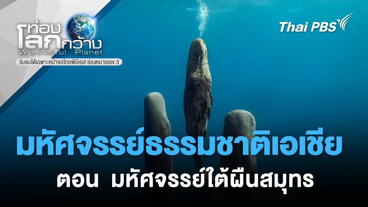 มหัศจรรย์ธรรมชาติเอเชีย ตอน  มหัศจรรย์ใต้ผืนสมุทร