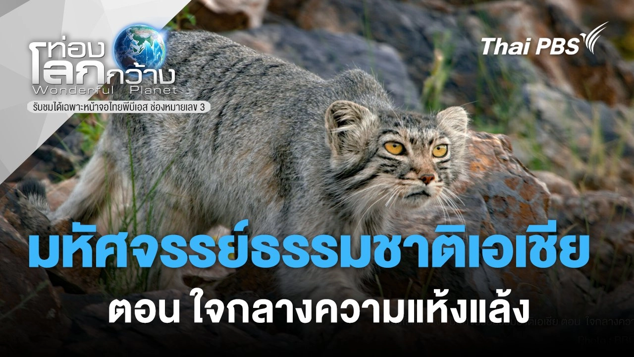 มหัศจรรย์ธรรมชาติเอเชีย ตอน ใจกลางความแห้งแล้ง