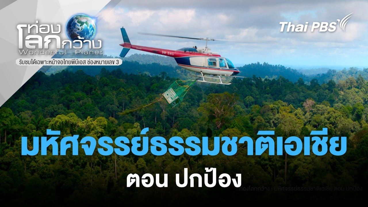 มหัศจรรย์ธรรมชาติเอเชีย ตอน ปกป้อง