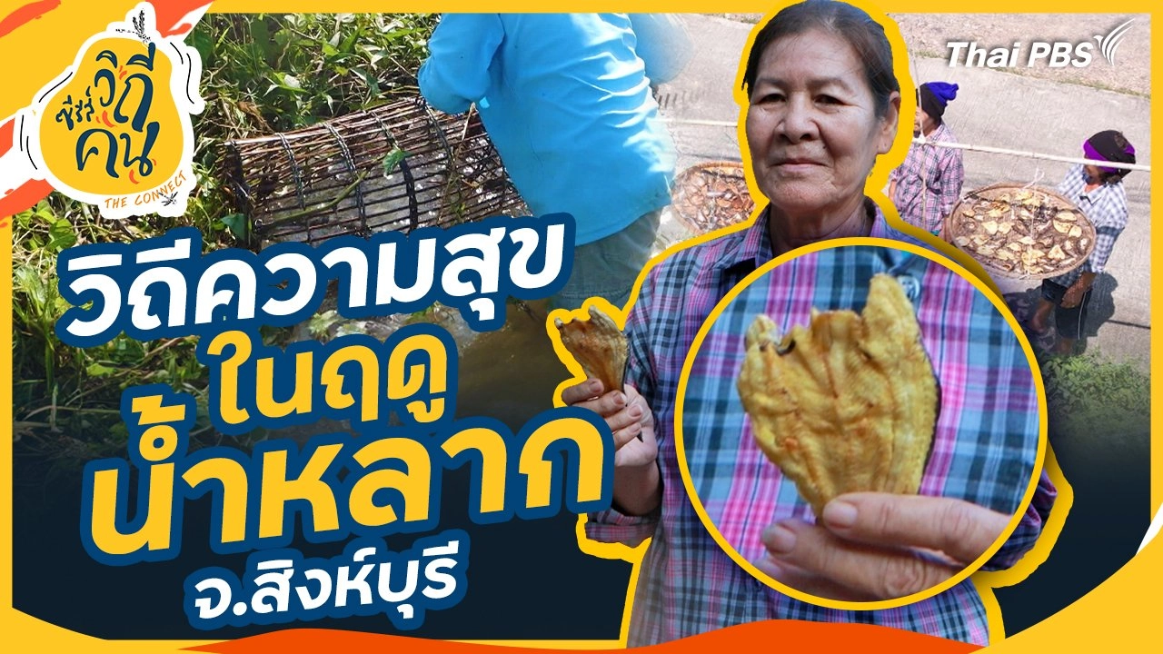 วิถีความสุขในฤดูน้ำหลาก จ.สิงห์บุรี