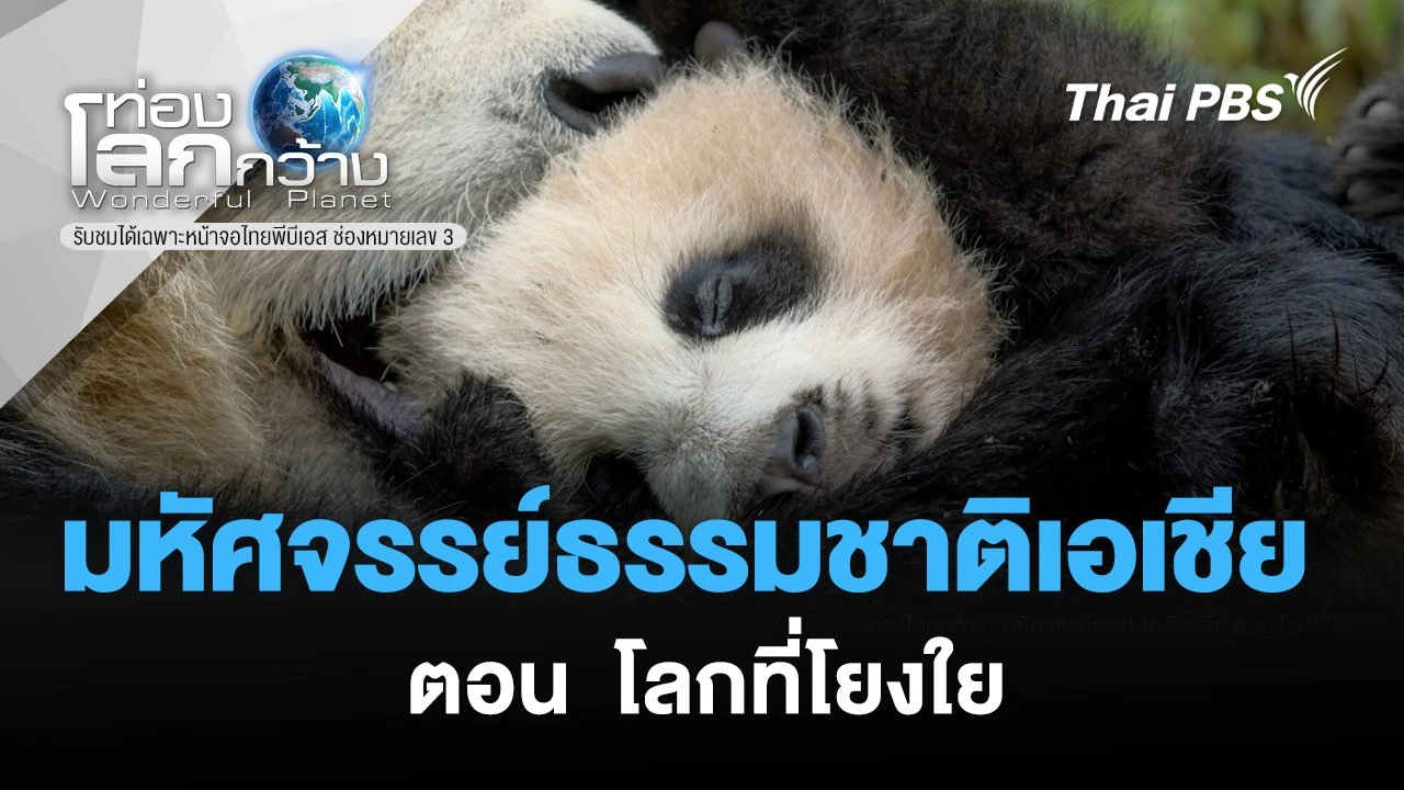มหัศจรรย์ธรรมชาติเอเชีย ตอน  โลกที่โยงใย