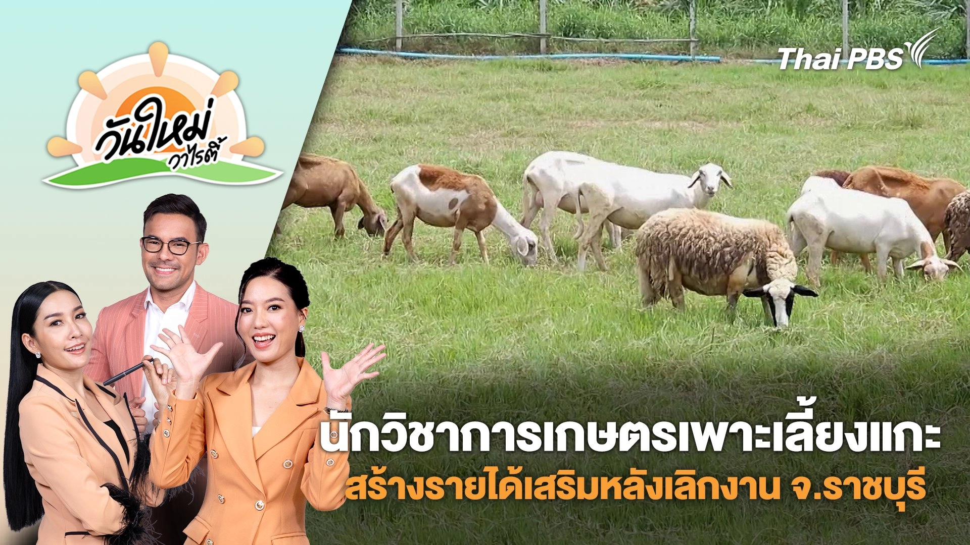 นักวิชาการเกษตรเพาะเลี้ยงแกะสร้างรายได้เสริมหลังเลิกงาน จ.ราชบุรี | วันใหม่วาไรตี้ | 21 ก.ค. 68