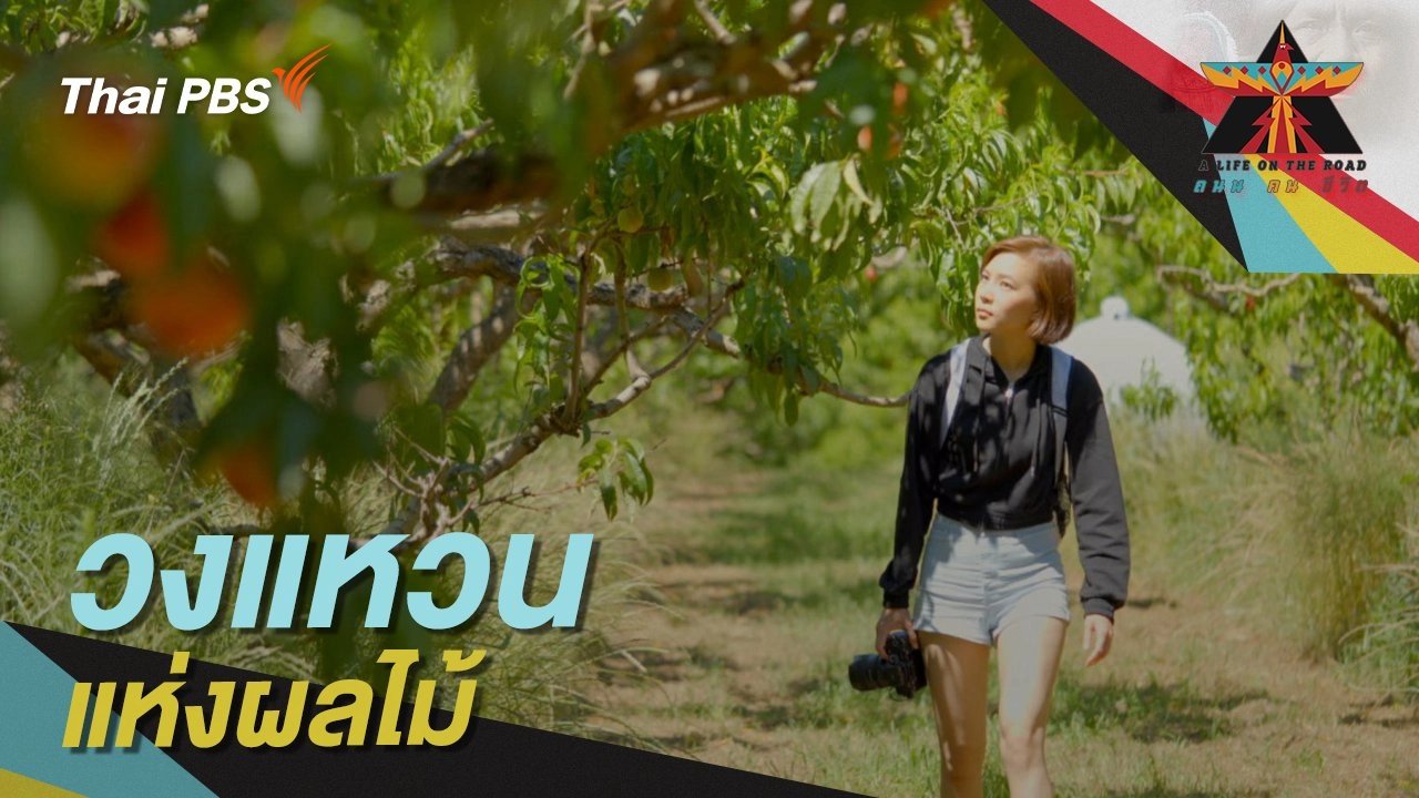 วงแหวนแห่งผลไม้