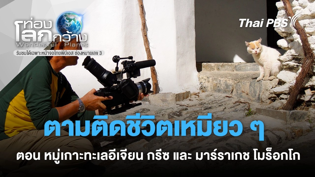 ตามติดชีวิตเหมียว ๆ ตอน หมู่เกาะทะเลอีเจียน ประเทศกรีซ และ มาร์ราเกช ประเทศโมร็อกโก