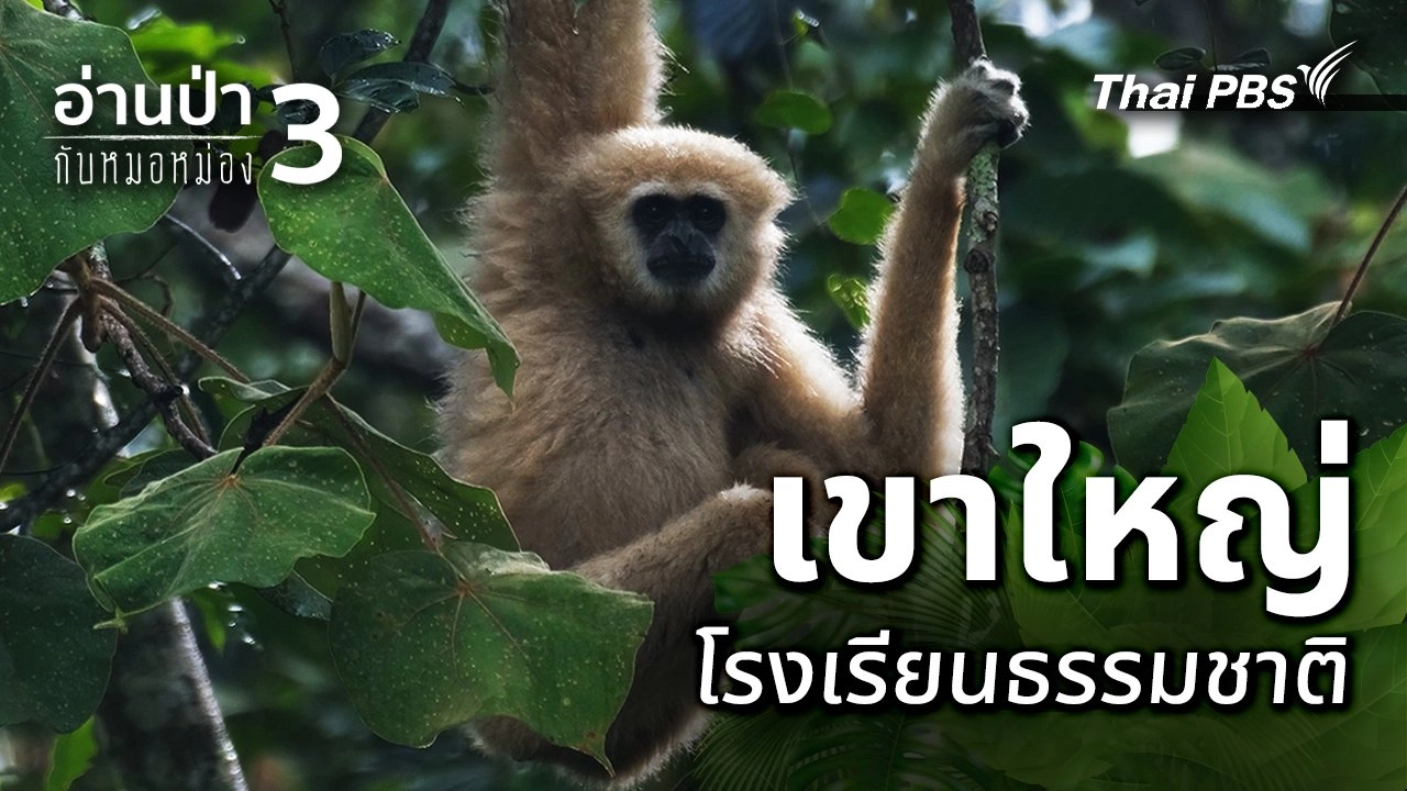 เขาใหญ่ โรงเรียนธรรมชาติ