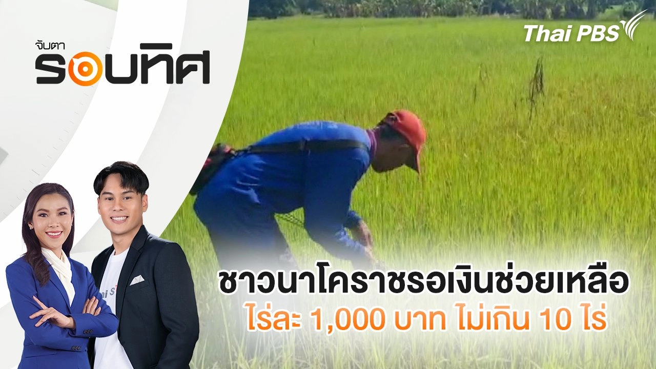 ชาวนาโคราชรอเงินช่วยเหลือไร่ละ 1,000 บาท ไม่เกิน 10 ไร่ | จับตารอบทิศ | 25 ส.ค. 68