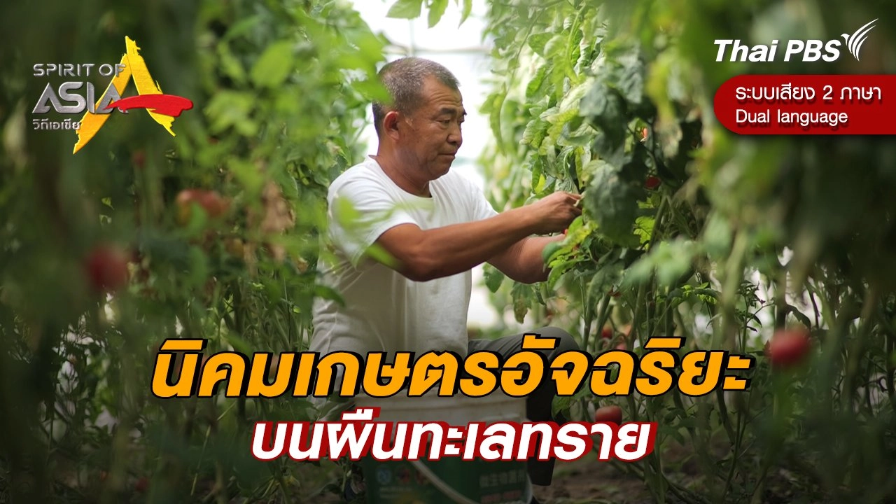 นิคมเกษตรอัจฉริยะบนผืนทะเลทราย