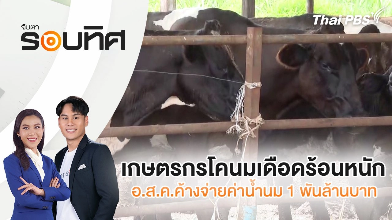 เกษตรกรโคนมเดือดร้อนหนัก อ.ส.ค.ค้างจ่ายค่าน้ำนม 1 พันล้านบาท | จับตารอบทิศ | 29 ส.ค. 68