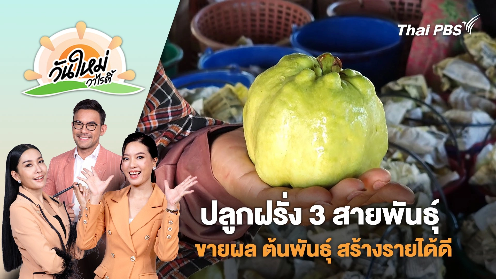 เกษตรกรราชบุรีปลูกฝรั่ง 3 สายพันธุ์ ขายผล ต้นพันธุ์ สร้างรายได้ดี | วันใหม่วาไรตี้ | 28 ส.ค. 68