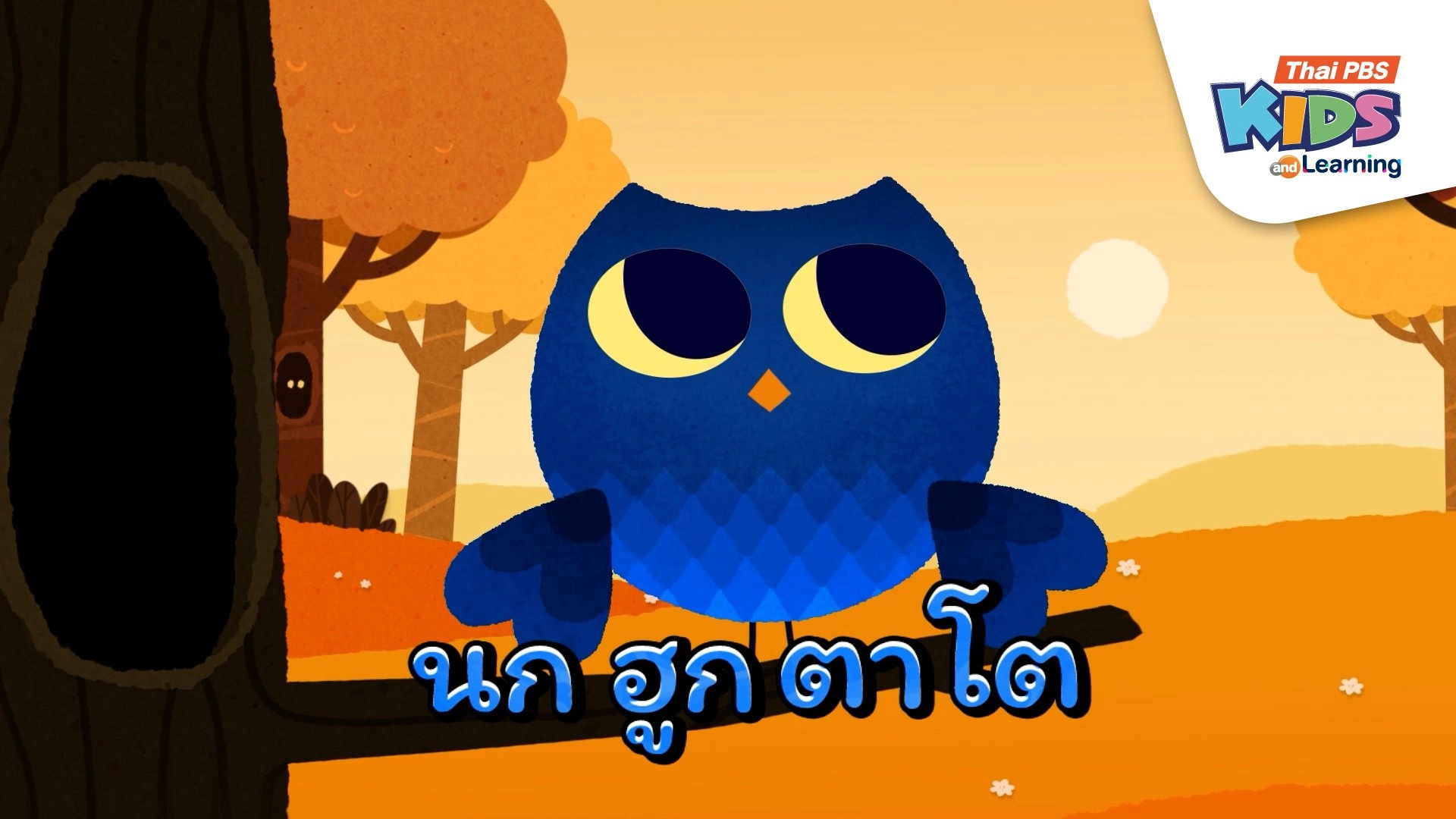 เพลง : นกฮูกตาโต