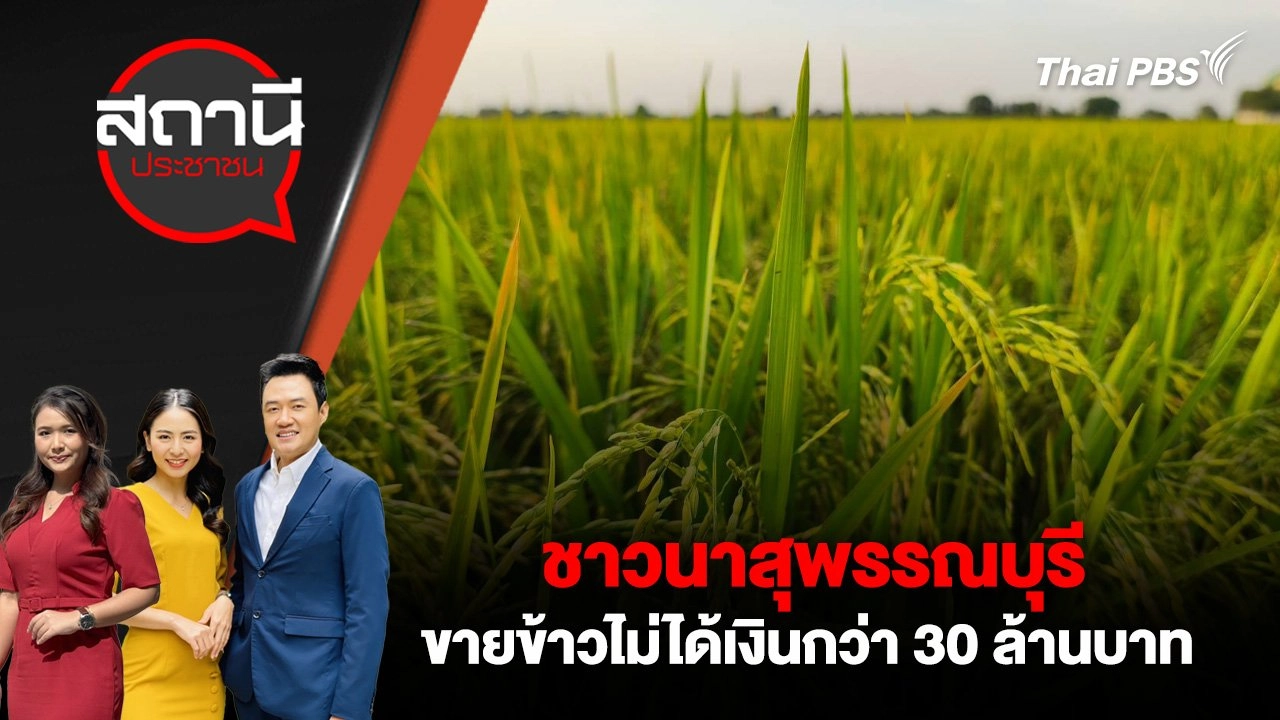 ชาวนาสุพรรณบุรี ขายข้าวไม่ได้เงินกว่า 30 ล้านบาท