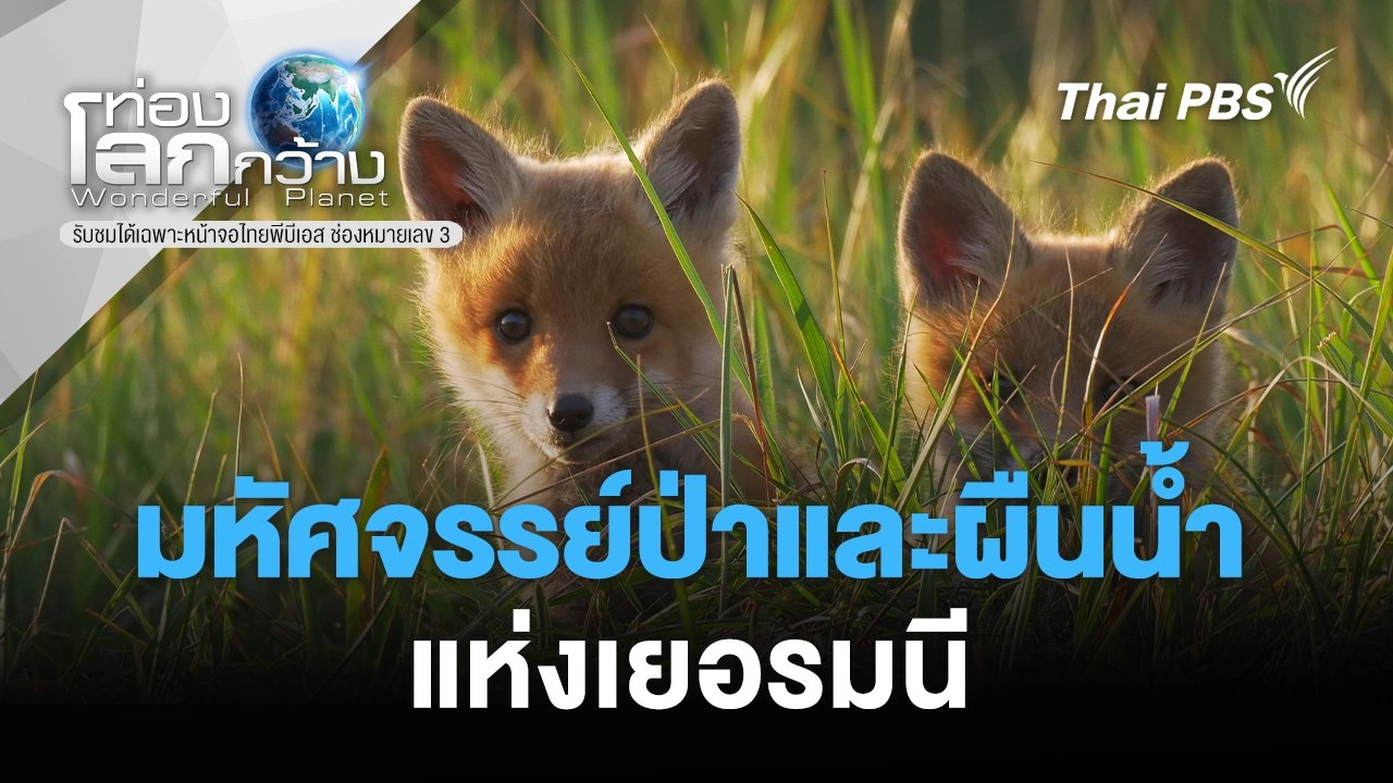 มหัศจรรย์ป่าและผืนน้ำแห่งเยอรมนี