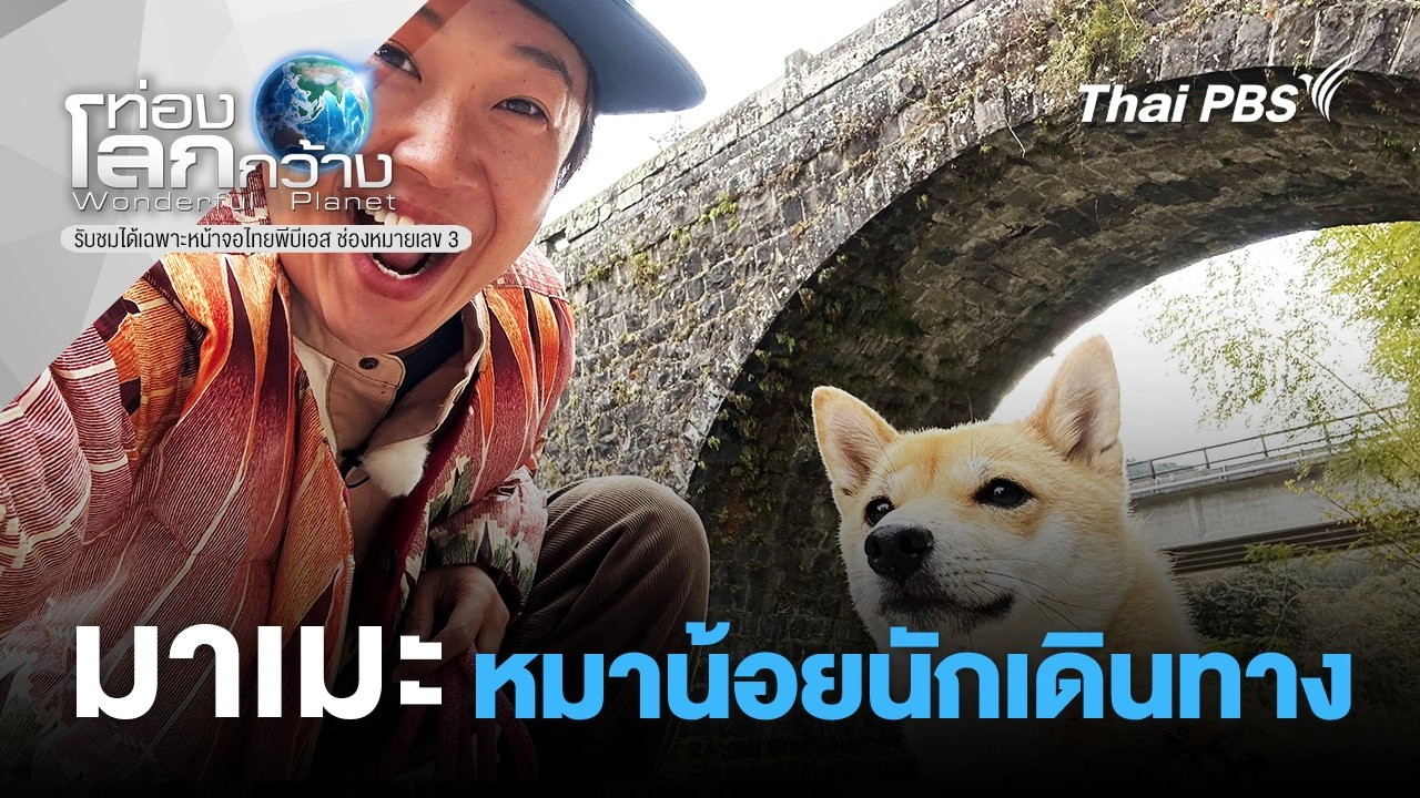 มาเมะ...หมาน้อยนักเดินทาง