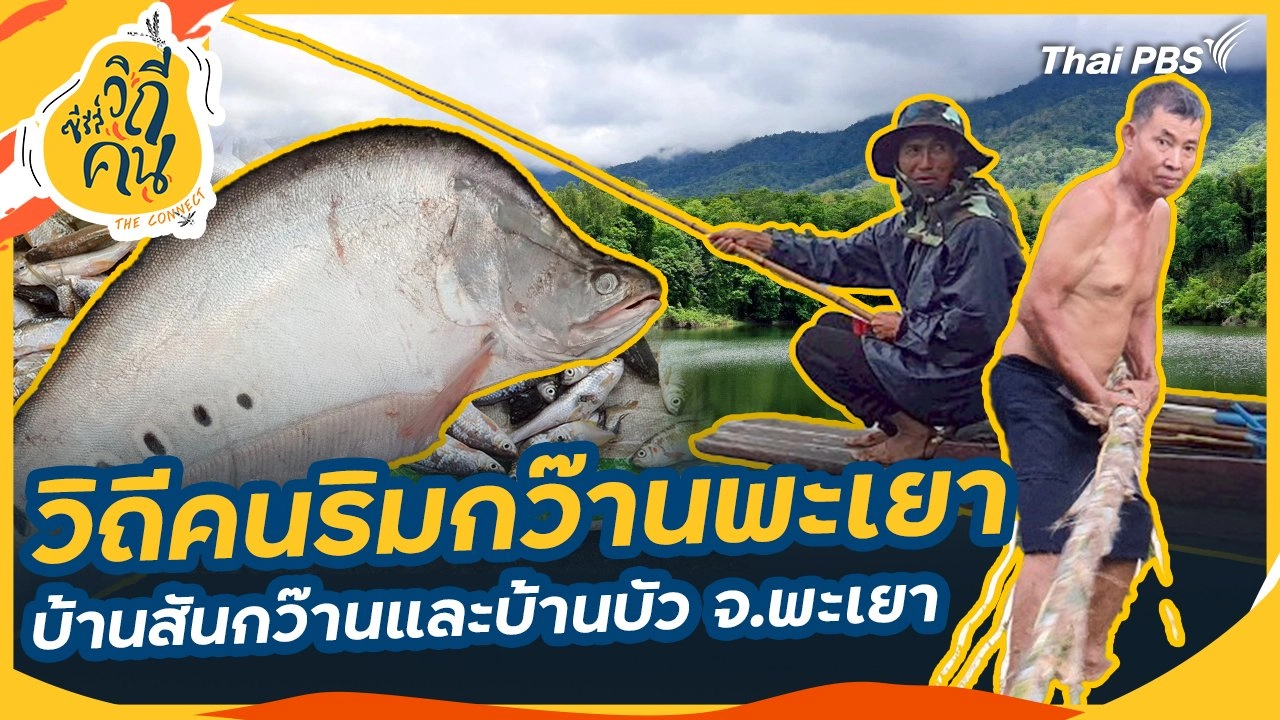 วิถีคนริมกว๊านพะเยา บ้านสันกว๊านและบ้านบัว อ.เมืองพะเยา จ.พะเยา