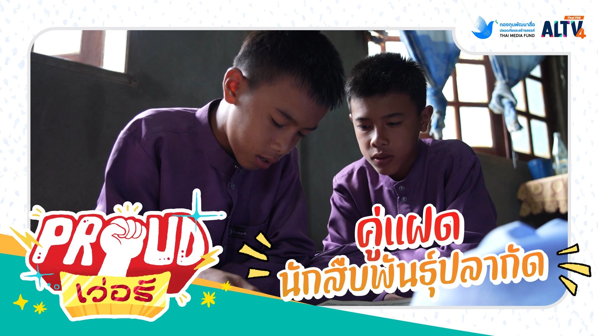 คู่แฝดนัดสืบพันธุ์ปลากัด