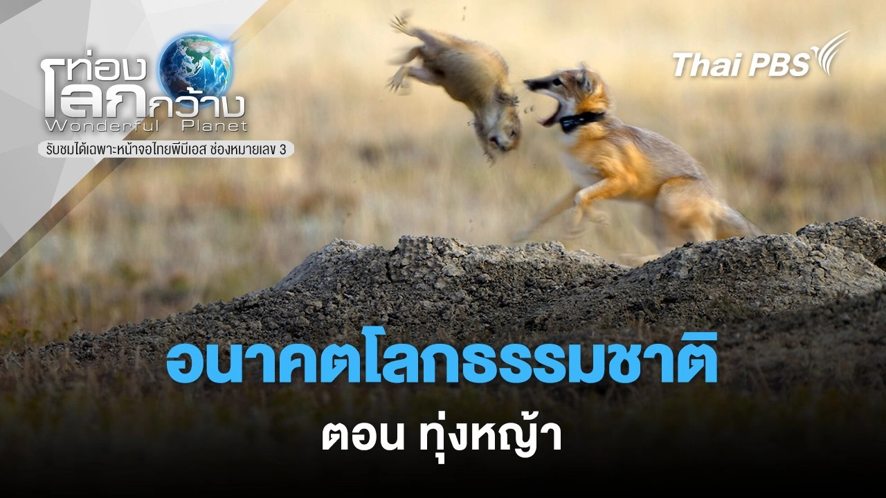 อนาคตโลกธรรมชาติ ตอน ทุ่งหญ้า