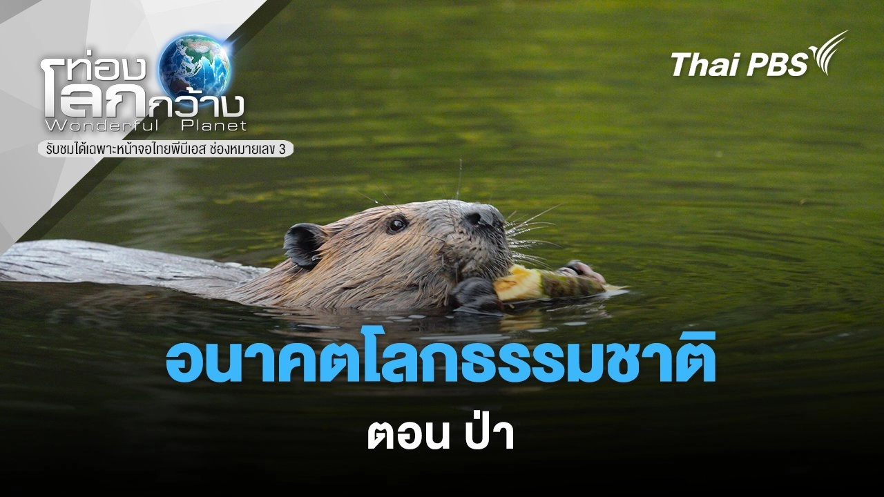 อนาคตโลกธรรมชาติ ตอน ป่า