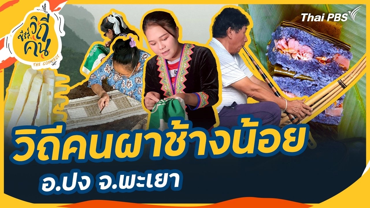 วิถีคนผาช้างน้อย  อ.ปง จ.พะเยา