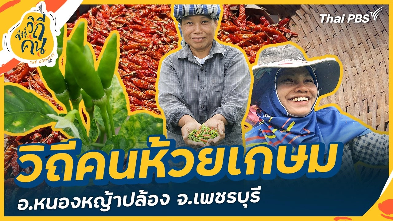 วิถีคนห้วยเกษม อ.หนองหญ้าปล้อง จ.เพชรบุรี