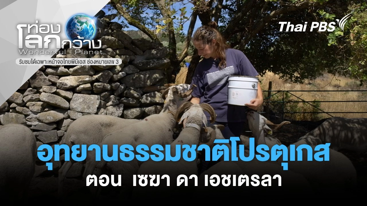 อุทยานธรรมชาติโปรตุเกส ตอน  เซฆา ดา เอชเตรลา