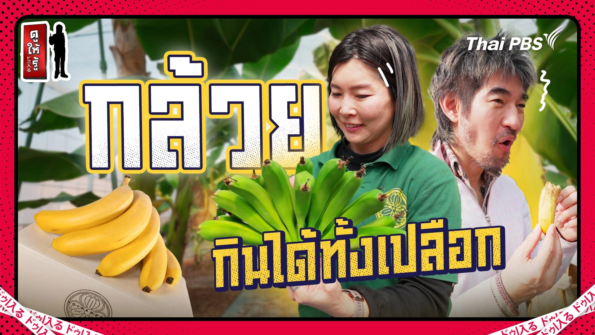 ญี่ปุ่นปลูกกล้วยกินทั้งเปลือกขายได้ลูกละ 200