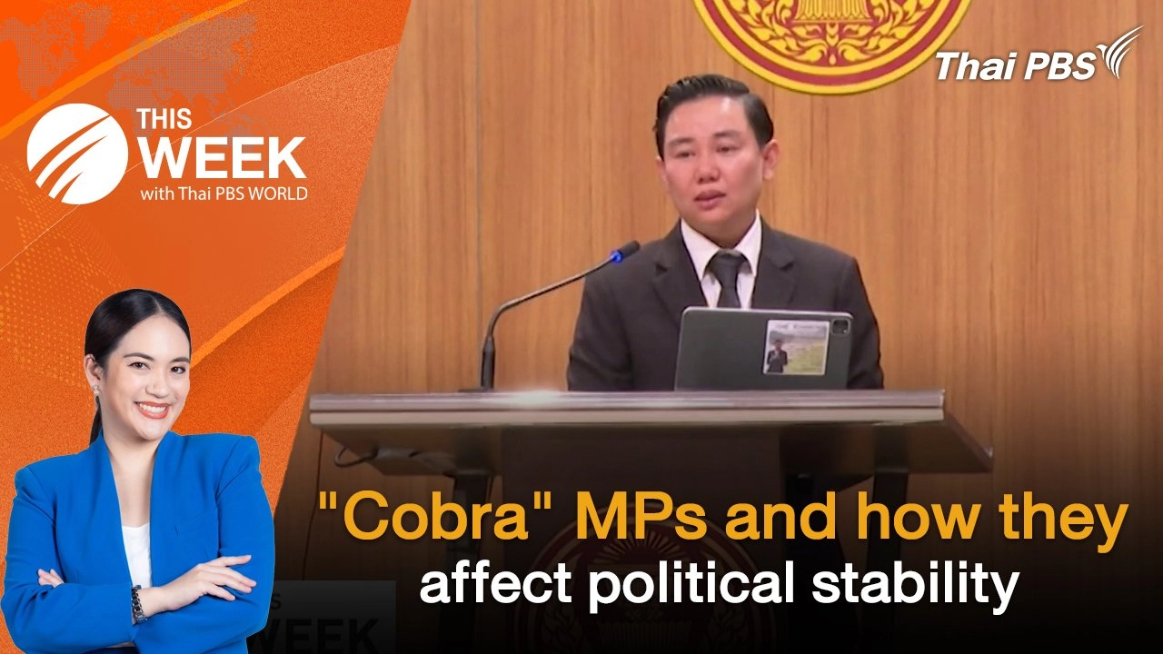 "Cobra" MPs and how they affect political stability | 16 May 2025