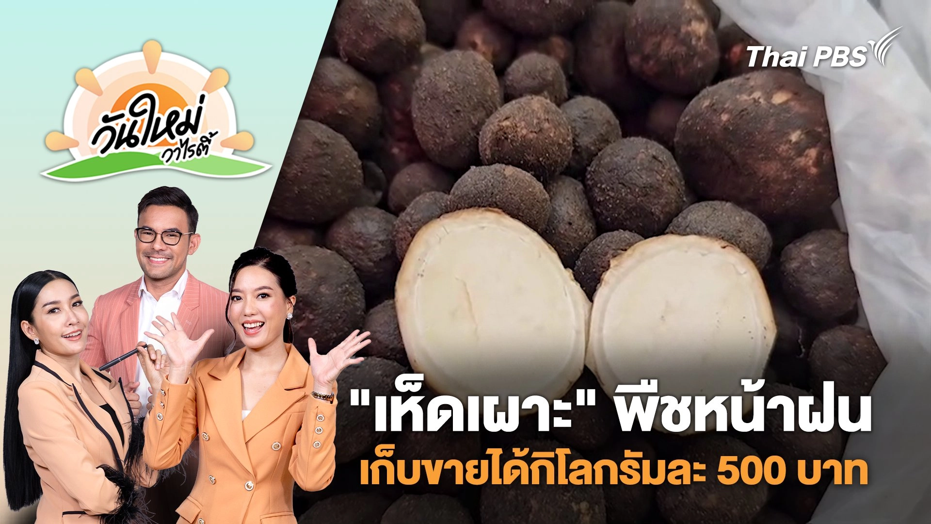 "เห็ดเผาะ" พืชหน้าฝนชาวบ้านนครพนมเก็บขายสร้างรายได้กิโลกรัมละ 500 บาท | วันใหม่วาไรตี้ | 19 พ.ค. 68