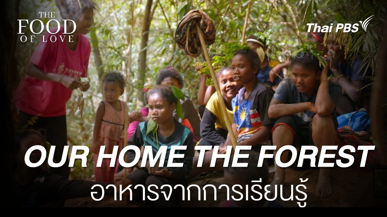 Our Home, the Forest​ :  Malaysia