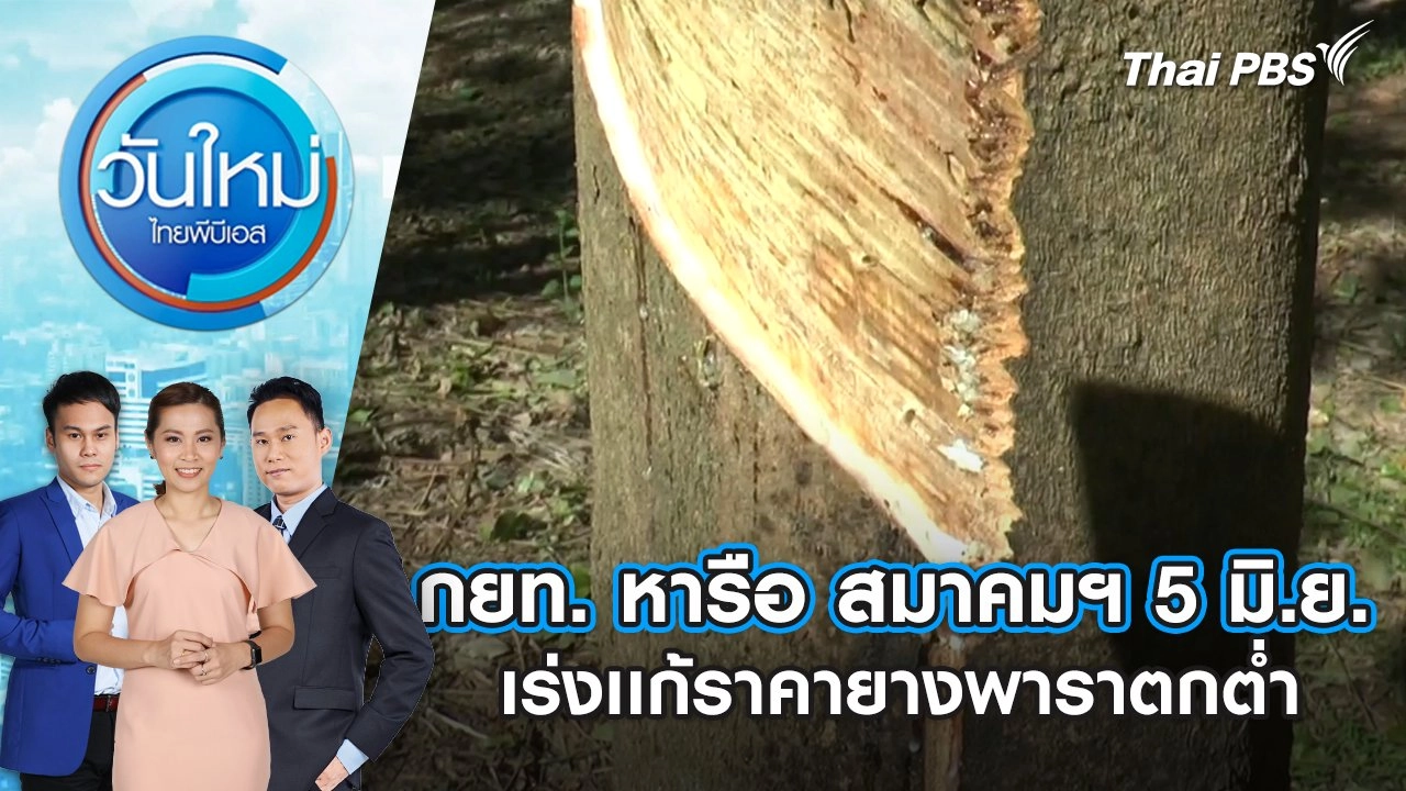 กยท. หารือ สมาคมฯ 5 มิ.ย. เร่งเเก้ราคายางพาราตกต่ำ | 4 มิ.ย. 68