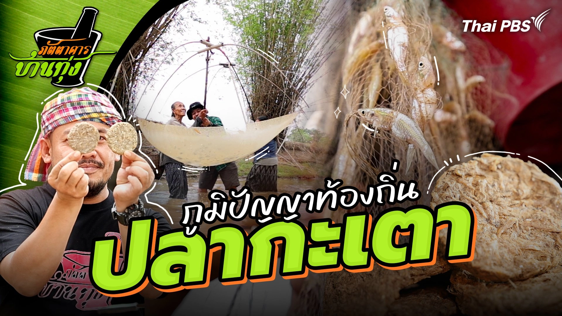 ปลากะเตา