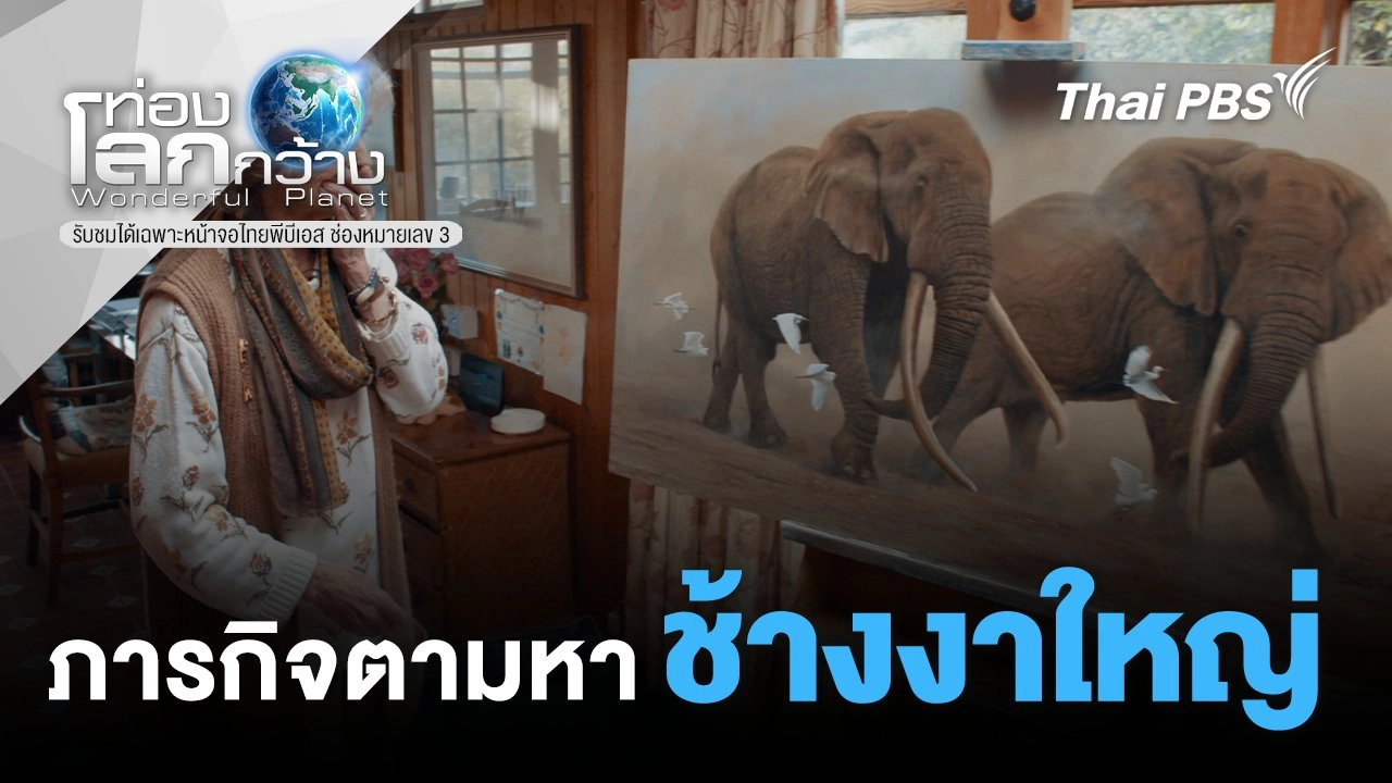 ภารกิจตามหาช้างงาใหญ่