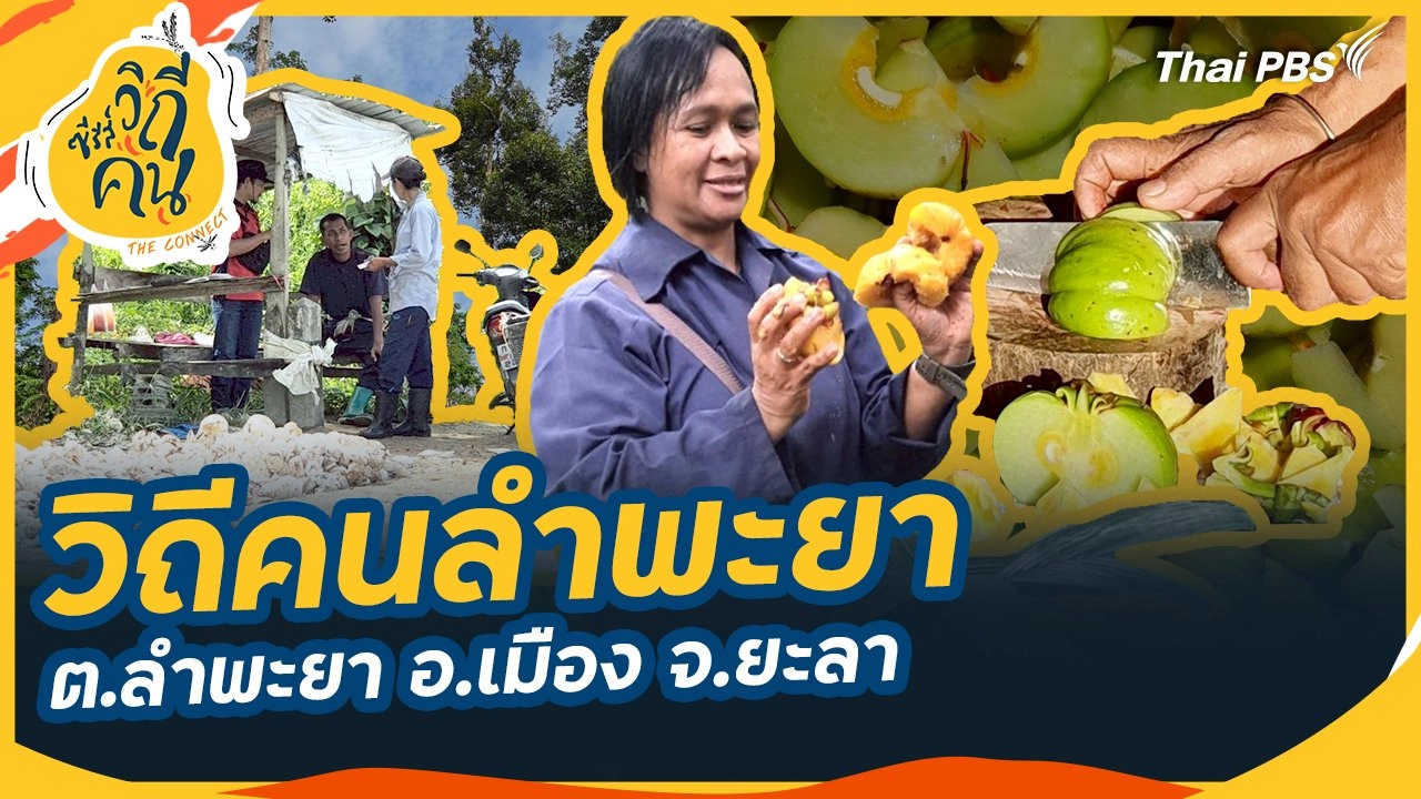 วิถีคนลำพะยา ต.ลำพะยา อ.เมือง จ.ยะลา