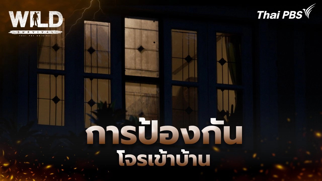 การป้องกันโจรเข้าบ้าน