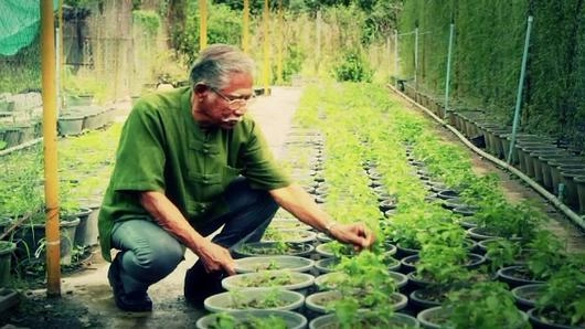 ภูมิปัญญาสร้างสุข