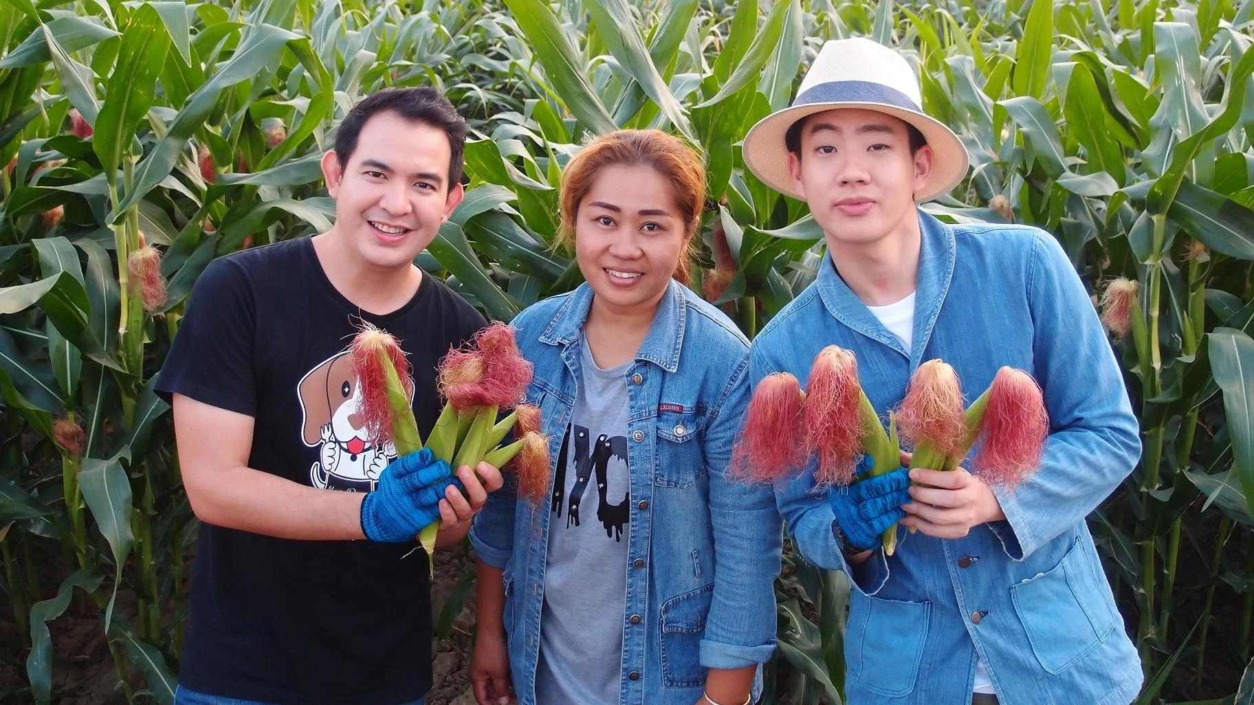 ข้าวโพดอ่อน