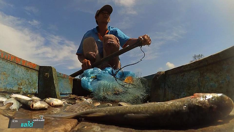 สายใย สายน้ำ สายชีวิต