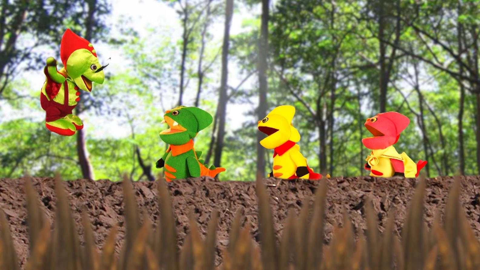 ศึกษาป่าชายเลน